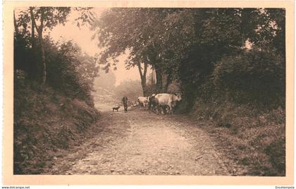 CPA Carte postale Belgique Auby  Vers les Pâtures  VM65817