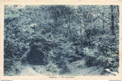 [-5%] BELGIQUE - Chaumont Gistoux - Un sous bois - Carte postale ancienne