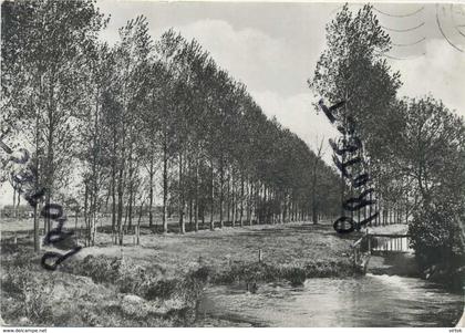 Dessel :  oude watermolen  -  groot formaat   (  gescheven met zegel )