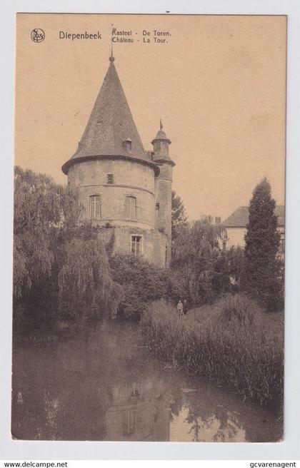 DIEPENBEEK  KASTEEL  DE TOREN