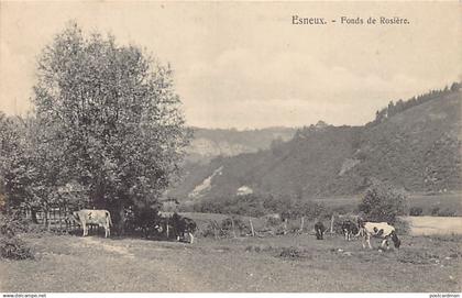 Belgique - ESNEUX (Liège) Fonds de Rosière