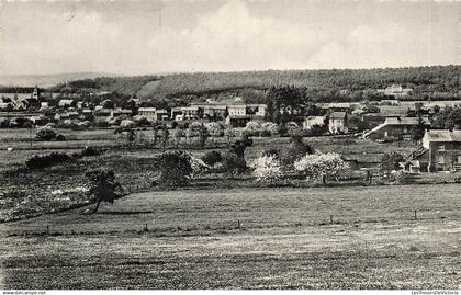 BELGIQUE - Gesves - Faulx les Tombes - Panorama - Carte Postale