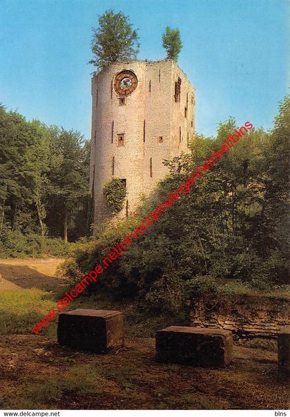 Ruine Prinsenkasteel - Grimbergen