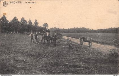 BELGIQUE - HECHTEL - In het veld