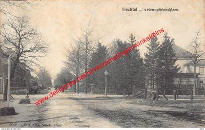 Hechtel - 's Hertogenboschlaan - Hechtel-Eksel