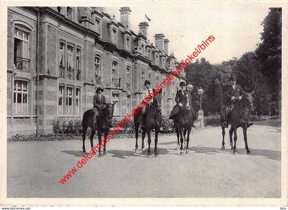 Château d'Ardenne - Equitation - Houyet