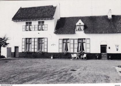 KNESSELARE  -  blauwgoedhoeve ( Ursel )