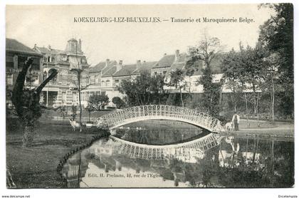 CPA - Carte Postale - Belgique - Koekelberg - Tannerie et Maroquinerie Belge ( SV5761)