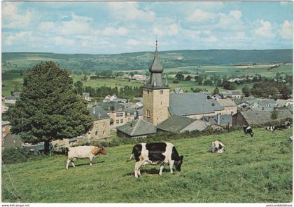 Lierneux - Panorama - & cow, church