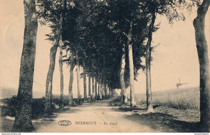 MEERHOUT  DE DREEF         2 SCANS