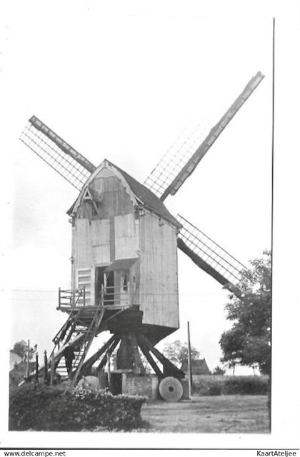 Meerhout-Zittaart - Molen.