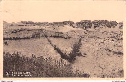 [-5%] RBELGIQUE - NIEWPORT - Notre petit Sahara - Carte Postale Ancienne