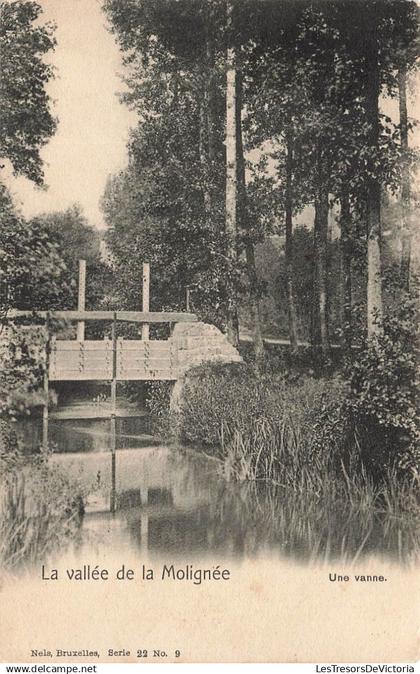 BELGIQUE - Onhaye - La vallée de la Molignée - Une vanne - Nels, Bruxelles - Carte postale ancienne