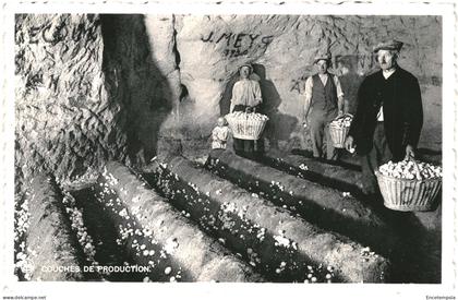 CPA Carte Postale Belgique Orp-Jauche Fox les caves Grandes Champignonnières  VM77913ok