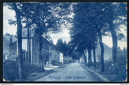 CPA - Carte Postale  - Belgique - Paliseul - Route de Maissin - 1908  (CP20269OK)