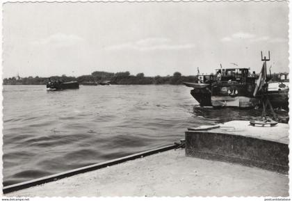 Sint-Amands a/Schelde - Schelde - & boat