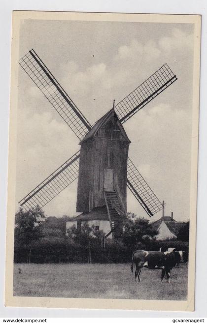 SINT MARTENS LATEM   DE MOLEN