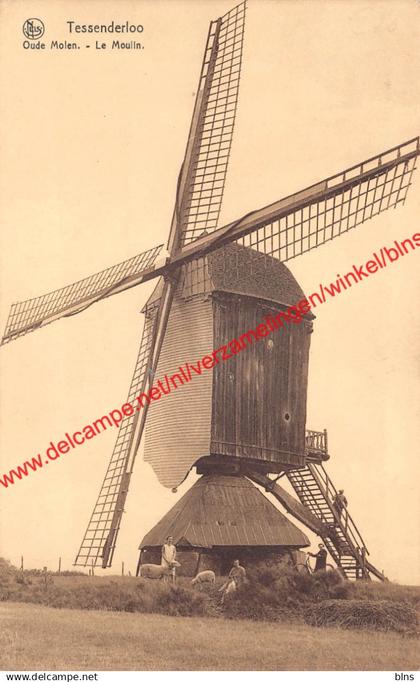 Tessenderloo - Oude Molen - Le Moulin - Tessenderlo