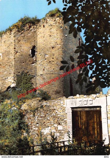 Ruines du Château de Franchimont - Theux