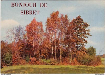 Bonjour de Sibret