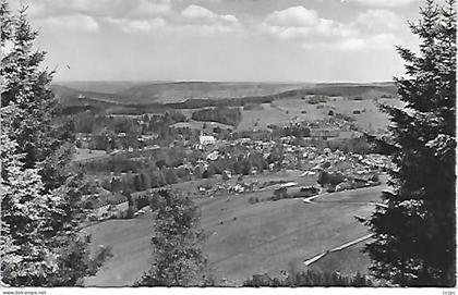 CPSM Vielsalm Panorama