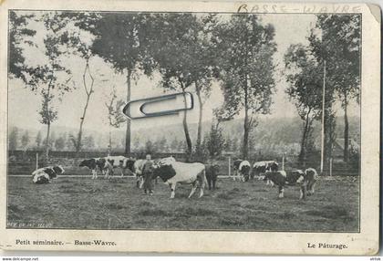 Basse-Wavre :  petit séminaire   ( Koe - vache )