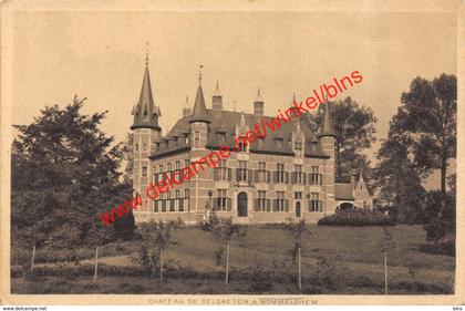 Château de Selsaete - Kasteel Selsaete - Wommelgem