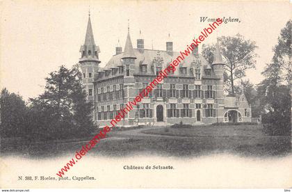 Château de Selsaete - Wommelghem - F. Hoelen 588 - Wommelgem