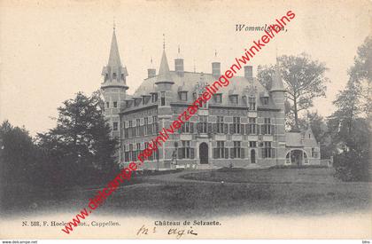 Wommelghem - Château de Selzaete - F. Hoelen 588 - Wommelgem