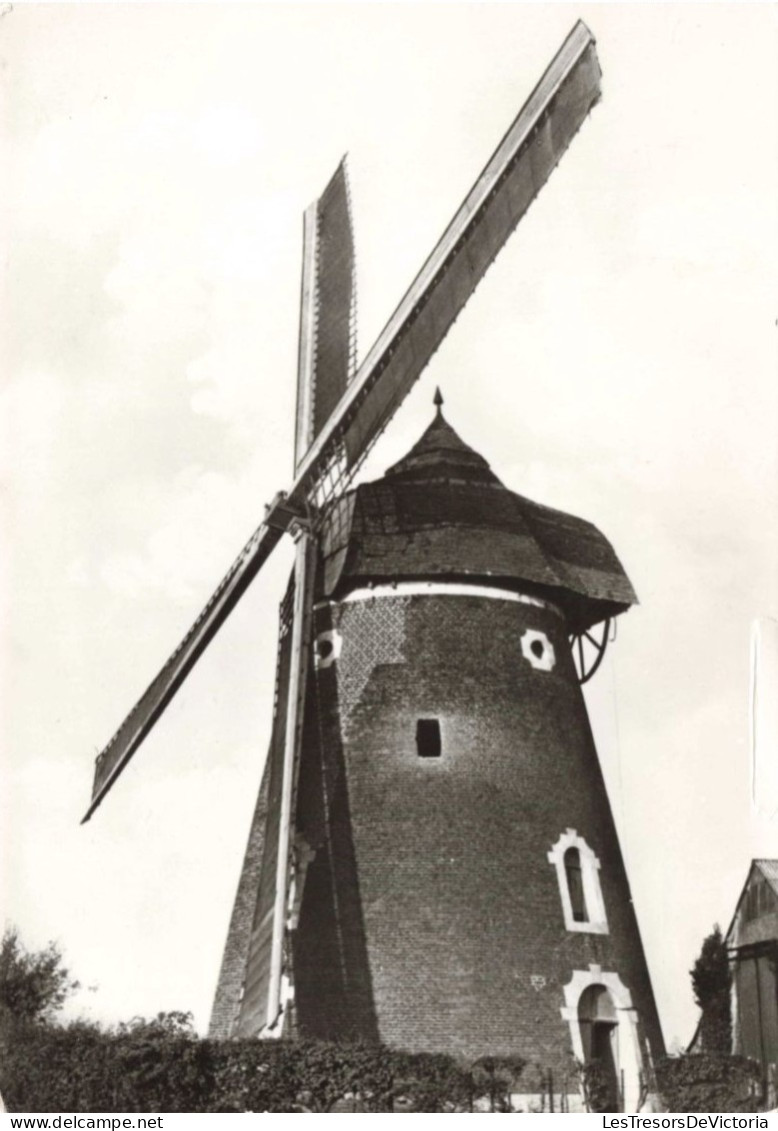 BELGIQUE - Dernier moulin à vent de la Hesbaye, légeoise - Donceel - Carte Postale Ancienne