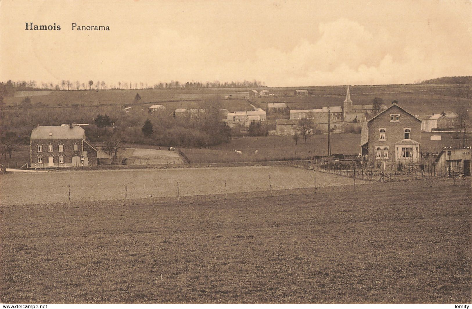 Belgique Hamois panorama CPA + timbre