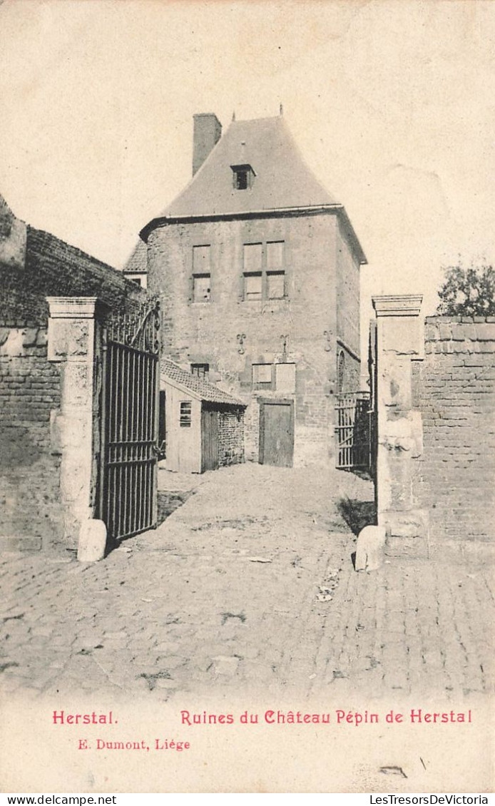 BELGIQUE - Herstal - Ruines du Château Pépin de Herstal - Carte postale ancienne