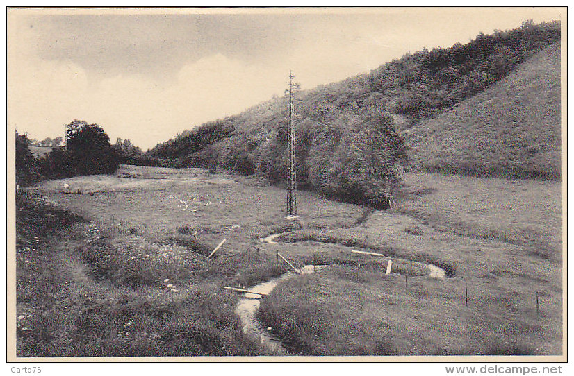 Belgique - Lierneux - Vallée de la Lienne - Cachet Lierneux 1962 - Editeur Pirard  Au Panier Fleuri