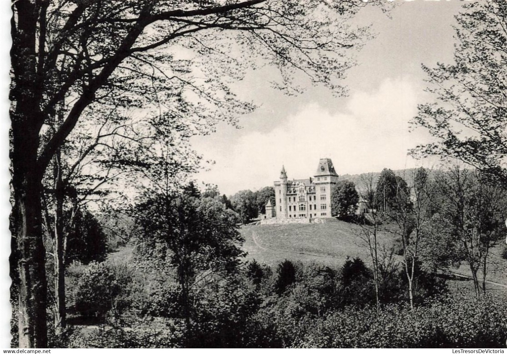 BELGIQUE - Somme Leuze - Domaine de Septon - Château de Petite Somme - Carte Postale