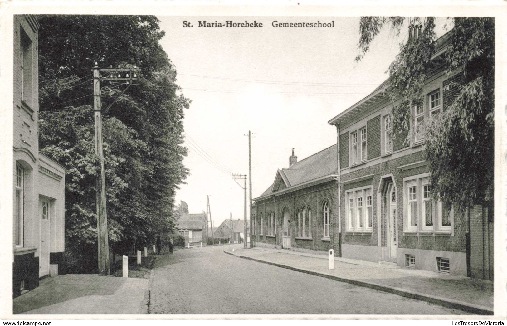 BELGIQUE - St Maria Horebeke - Gemeenteschool - Carte Postale Ancienne