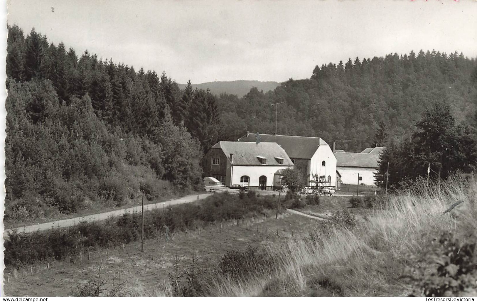 BELGIQUE - Tenneville - Baconfoy - Petite ruisseau - forêt - Maison de vacances de Baseilles - Carte postale ancienne