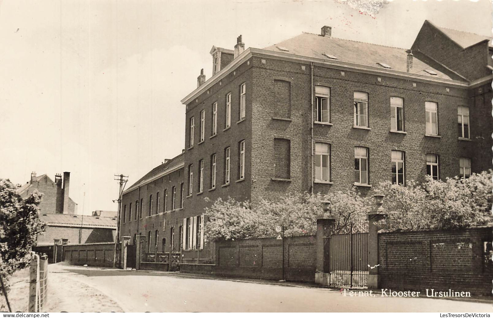 BELGIQUE - Ternat - Klooster Ursulinen - Fenêtre ouverte - Portail - Allée - Carte Postale Ancienne