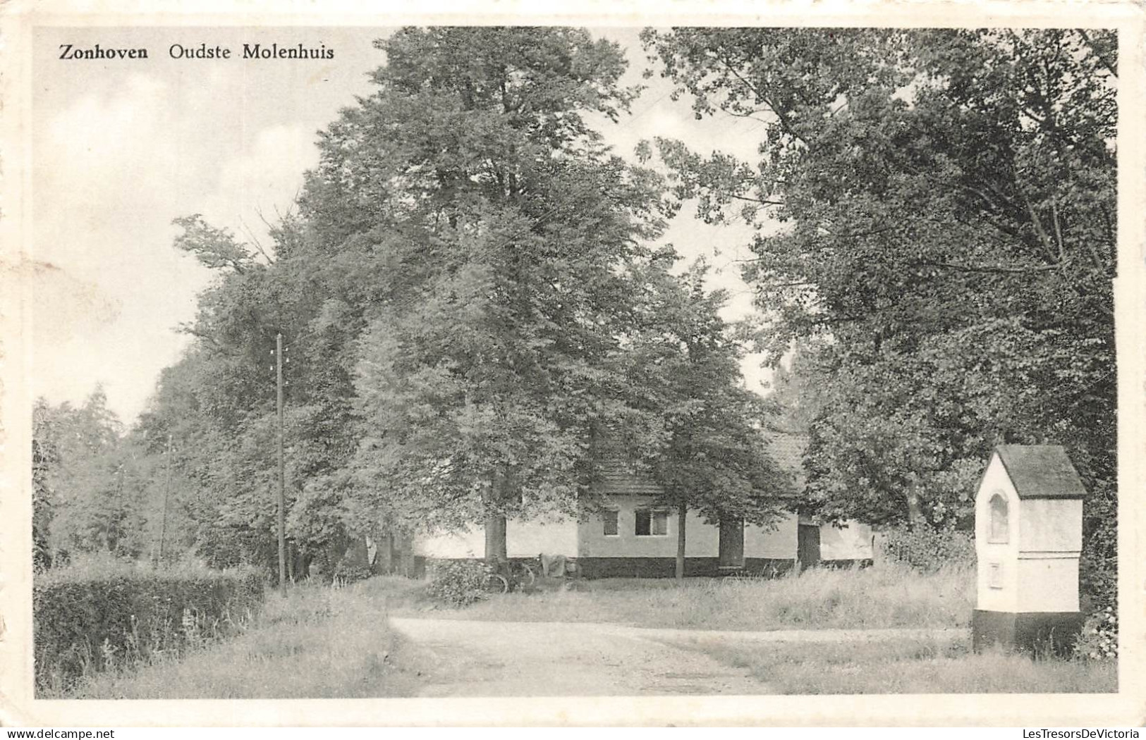 BELGIQUE - Zonhoven - Oudste Molenhuis - Boekhandel  Daniëls-Bervoets  Dagbladen - Carte postale