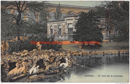 1908 Zoo Antwerpen