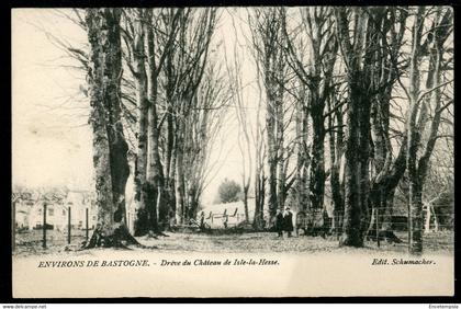 CPA - Carte Postale - Belgique - Environs de Bastogne - Drève du Château de Isle la Hesse (CP22421OK)