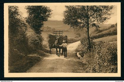 CPA - Carte Postale - Belgique - Auby - La Route vers la Semois (CP22250)