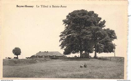 CPA - BELGIQUE - BEYNE HEUSAY - Le Tilleul à Sainte Anne - Pâture - Vache