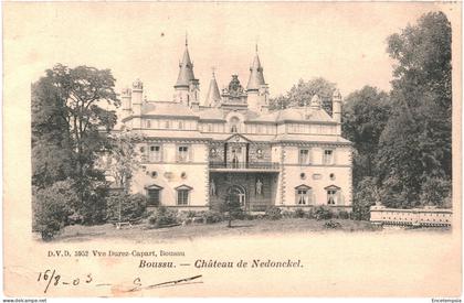 CPA Carte postale Belgique Boussu Le Château de Nedonckel 1903 VM73312