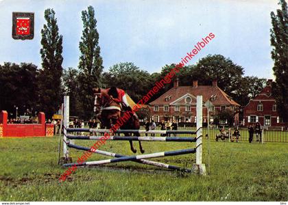 Hemelhoeve - jumping - Brasschaat