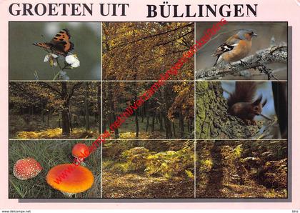 Natuur - Büllingen