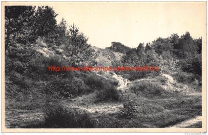 Dans les Bruyères - Chaumont-Gistoux