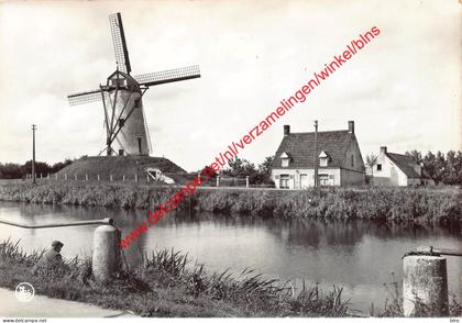 De Molen - Damme