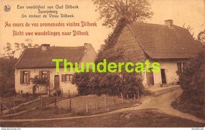 CPA DILBEEK EEN OVERBLIJFSEL VAN OUD DILBEEK