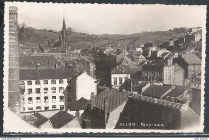 Photo carte  Dison  Panorama