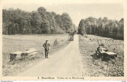 BELGIQUE FAUVILLERS VALLEE DE LA MISEBOURG